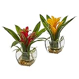 Bromeliad with Vase Arrangement - Set of 2