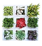 MedianField 【 ウォールグリーン 9個 セット 】 フェイクグリーン 観葉植物 造花 壁掛け 人工観葉植物 インテリア アンティーク 雑貨 人工 フェイク 壁掛 グリーン 緑 植物 (白 