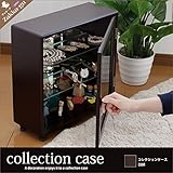 コレクションケース