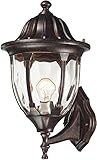 Elk 45001/1 9 by 16-Inch Glendale 1-Light Outdoor Wall Sconce with Water Glass Shade, Regal Bronze F