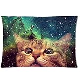 2017ファッション（猫）ユニセックス枕を印刷