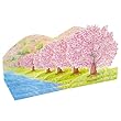 サンリオ 春カード ポップアップ 川沿いの桜並木 P4316