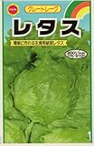 アタリヤ農園 種 グレートレークレタス 5ml