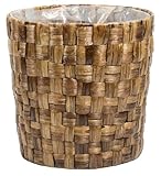 ヒヤシンスケンガイ10号用茶 369-10KB