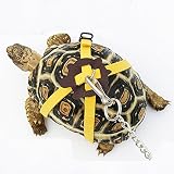 亀 蜥蜴用牽引ロープ ペットリード 小動物引きひも お出かけ散歩用リーシュ (M)