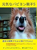 元気なパピヨン親子５