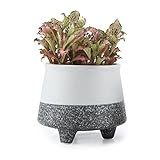 T4U 9.5CM 陶器ミ二植木鉢 韓国風の雪花シリーズNO.4 多肉植物 サボテン鉢 フラワーポット プランター容器