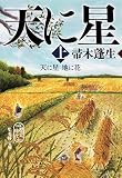 天に星 地に花 上 (集英社文庫)