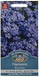 MFFL 英国ミスターフォザーギルズシード Nemesia Blue Gem ネメシア・ブルー・ジェム