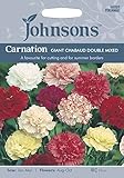 JOFL 英国ジョンソンズシード Carnation GIANT CHAUBAUD DOUBLE MIXED カーネーション・ジャイアント・シャボー・ダブル・ミックス