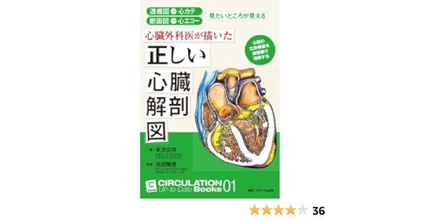 心臓外科医が描いた正しい心臓解剖図 透視図 心カテ 断面図 心エコー 見たいところが見える Circulation Up To Date Books 1 末次 文祥 本 通販 Amazon