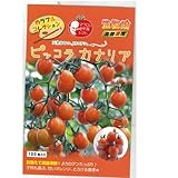 ミニトマト 種 【 ピッコラカナリア 】 種子 小袋