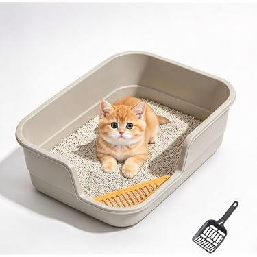 Amazon.co.jp 最新リリース: 猫用トイレ本体 の新着ランキングです。