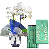 ミディ胡蝶蘭 2本立ち アマビリス 白色 お供えラッピング 鳩居堂のお線香 白鳩 紙箱 バラ詰 セット お届け日時指定便