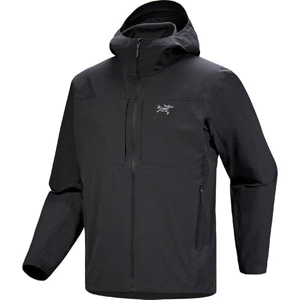 Amazon.co.jp: [アークテリクス] ARCTERYX スコーミッシュフーディ男性