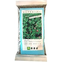 アカクローバー メジウム 1kg 10袋セット 赤クローバー 楽天市場】アカクローバーの種(メジューム) 1kg : 千草園芸