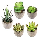 liankeshop 人工 観葉植物 多肉植物 エミュレート ミニ 人工多肉植物 水不要 枯れない 屋内偽緑色鉢植 本物と同じ見たい インテリア 自宅 庭 オフィス ホテル DIY 装飾 プレゼント 
