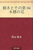 樹木とその葉 04 木槿の花