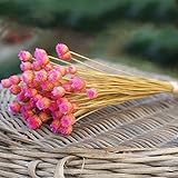 50個/ロットホームDecor Dried Flower Bouquetドライフラワーウェディングパーティー One Size SFBHA32800074070