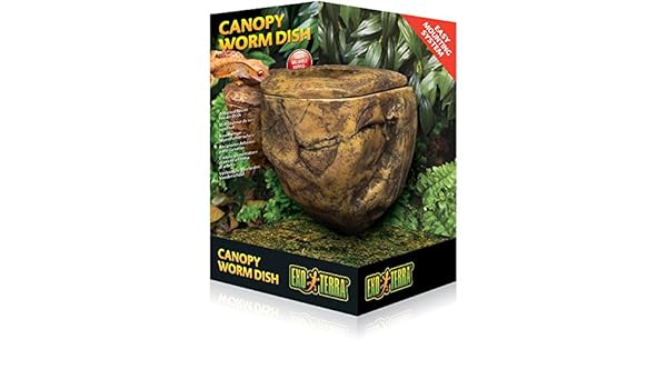 Cat Palm Bedroom Area Rug Entrance Mat 40x60cm Cat Palm Bathroom Absorbent Mat Ofat Home Cute Cartoon Floor Mat Entry Carpet Litter Housebreaking Litter Mats Horeto Com