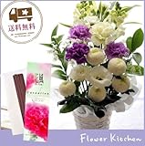 お供え線香セット　ムーンダストM供花アレンジ＋線香 花風カーネーション