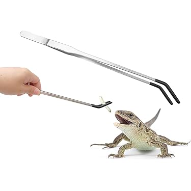 Amazon.co.jp 売れ筋ランキング: 爬虫類・両生類用餌入れ・ボウル の中