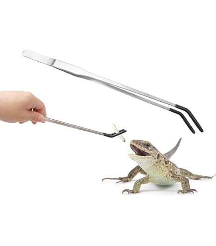 Amazon | feedbase 生餌用 活餌用 バンブーピンセット 竹ピンセット 30