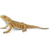 Collecta 88567 フトアゴヒゲトカゲ