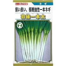 51j8y42VxSL._AC_UL210_SR210,