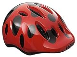 レイザー（LAZER） 2015 MAX プラス （マックスプラス）　子供用ヘルメット KIDS UNI（49-56cm） レディバグ HMT36603