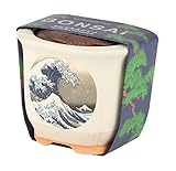 聖新陶芸 JAPANESE BONSAI 波富士 黒松 GD-64003