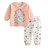BOBORA ファッションベビー服　可愛いウサギプリントシャツ　ローズ花柄パンツ　肌着２点セット　男女用　春秋服　綿　（７３－１００、４－３１月）
