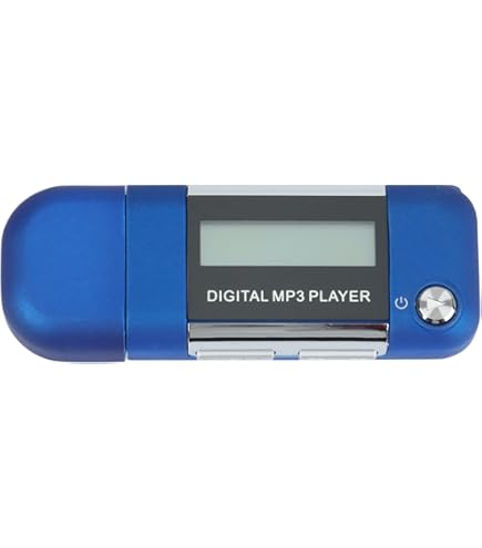 Amazon.co.jp: TOSHIBA gigabeat Vシリーズ ワンセグ視聴と録画