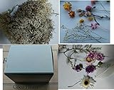 ～CocoHeart～ 格安　ハーバリウムセット　お任せドライフラワーヘッド10種類＆プリザモス　ナチュラル１０ｇ （ハーバリューム　キャンドル　樹脂加工　ドライフラワー）