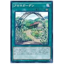 Amazon.co.jp: 遊戯王OCG アロマガーデン ノーマル CORE-JP062 : ホビー