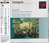 �z�������t��