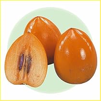 Amazon | 渋柿の苗木 愛宕柿（あたごがき）の苗木 13.5cmポット苗 接木