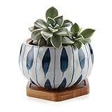 T4U 11CM 陶器鉢 和風-オーキッド 多肉植物 サボテン鉢 植木鉢 竹製トレイ付き