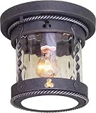 Volume Lighting V8163-48 1-Light Outdoor Flush Mount Ceiling Fixture, Blacksmithy [並行輸入品]