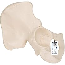 51jCuiumbcL._AC_UL210_SR210,