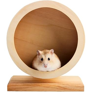 Amazon.co.jp 売れ筋ランキング: 小動物用回し車 の中で最も人気のある