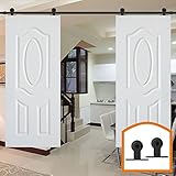 HomeDeco Hardware 金具 ドア用金物 レール 引き戸 トラック ハンガー アウトドア用品 8.2 FT (2.50メートル) ダブルドア