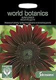 WB 英国ジョンソンズシード Johnsons Seeds world botanics collection Sunflower Moulin Rouge F1 サンフラワー・ムーラン・ルージュ・F