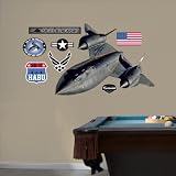 FATHEAD SR-71 Blackbird Graphic Wall D?cor [並行輸入品]