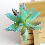 LuxBene(TM) シミュレーションロータスLithops人工花飾りブルー人工多肉植物植物DIYの庭の装飾アクセサリーE4