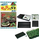 春秋まき種の苗つくりセット：サボテン ノーブランド品