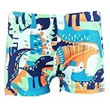Happy Cherry BoysポリエステルSwim Trunks Cartoon恐竜ビーチ子供ボクサー US サイズ: S カラー: グリーン
