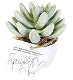 Parfait 大人のインテリアフェイクグリーン 光触媒 ホワイトウォッシュエケベリア