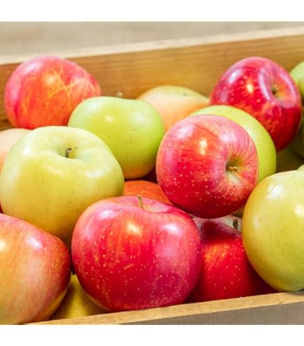 Amazon.co.jp: A級品 紅玉 ダンボール詰 10kg 青森県産 りんご : 食品