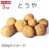 じゃがいも 種芋 とうや Mサイズ5kg ジャガイモ